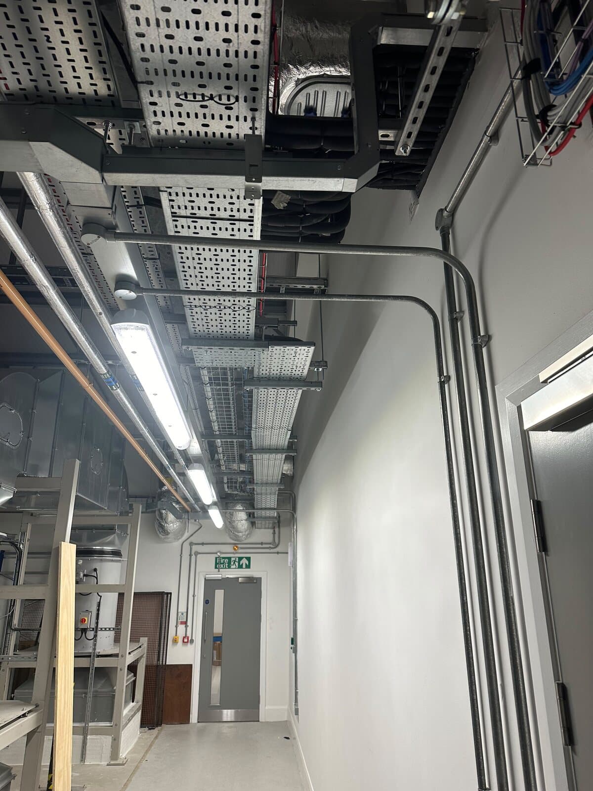 Second corridor run with tray, galvanised conduit drops and continuous LED lighting